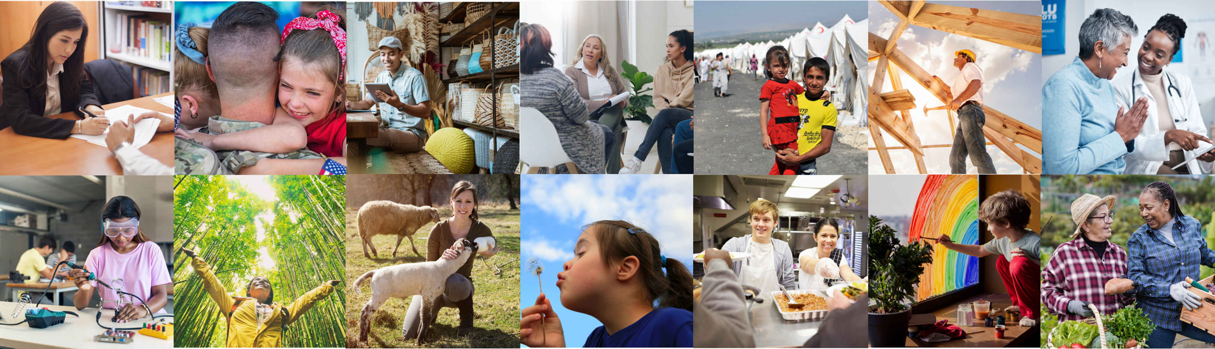 A collage of 14 photos representing various cause areas such as animal welfare, human rights, and military & veterans services